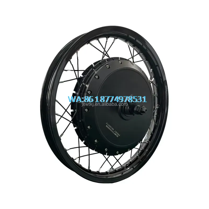 Motor Hub Sepeda Wmwmnu untuk  - Qs Motor 273 8000W Hub Motor ulasan dan harga